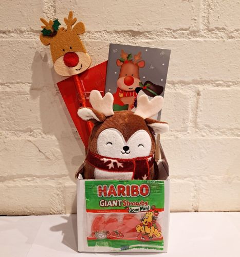 Christmas Kids Reindeer Plush, Pen & Haribo Sweets Gift Set