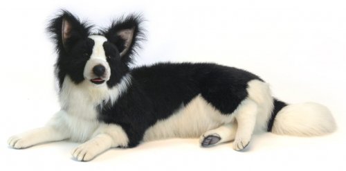 Soft Toy Dog, Border Collie by Hansa (85cm) 4564