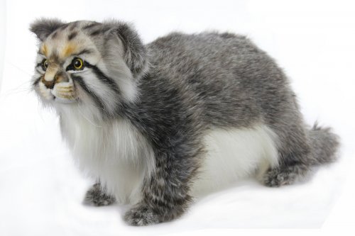 Soft Toy Pallas Cat Standing by Hansa (30cm) 7077