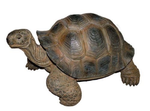 Giant Tortoise - Lifelike Garden Ornament - Indoor or Outdoor - Real Life Vivid Arts