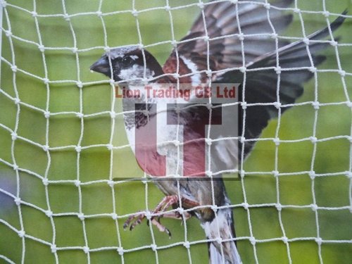 Sparrow Netting White-