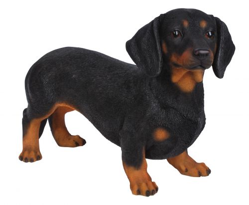 Dachshund Dog - Lifelike Garden Ornament - Indoor or Outdoor - Real Life Vivid Arts