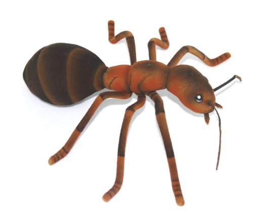 Soft Toy Ant by Hansa (25cm) 8076