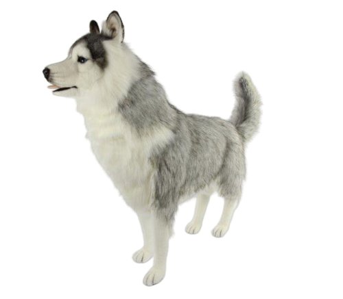 Soft Toy Siberian Husky by Hansa (115cm) 8331