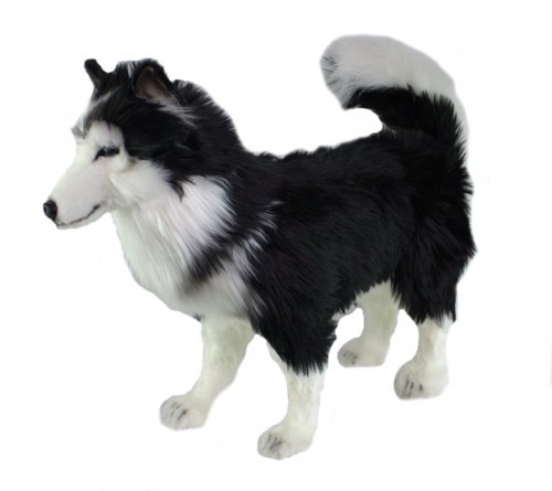 Soft Toy Dog, Black & White Husky by Hansa (46cm) 6495