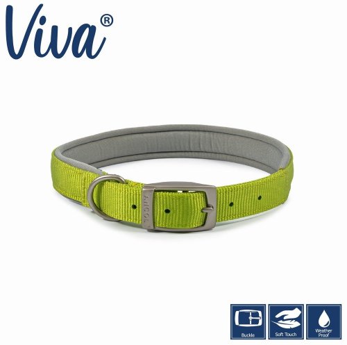 Ancol Padded Lime Dog Collar - Medium