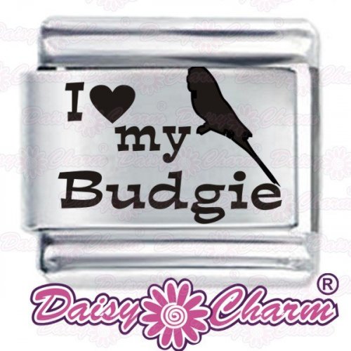 I love my Budgie Etched Italian Charm