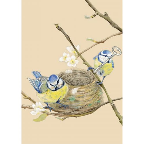 Greetings Card - Blue Tits Bird Nest - Deckled Edge