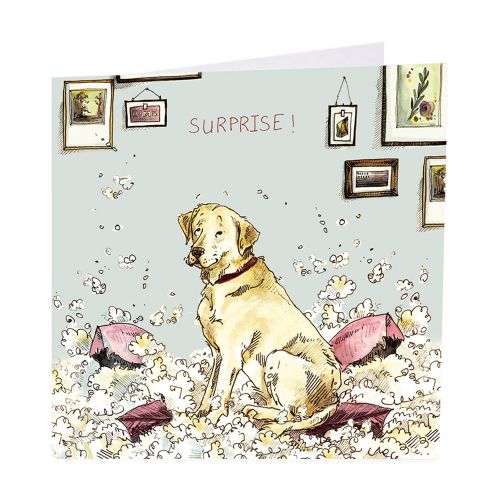 Birthday Card - Surprise! - Mischievous Dog - Gracie Tapner