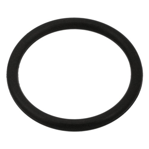 Febi Bilstein Sealing Ring 100999