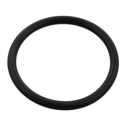 Febi Bilstein O-Ring 102594