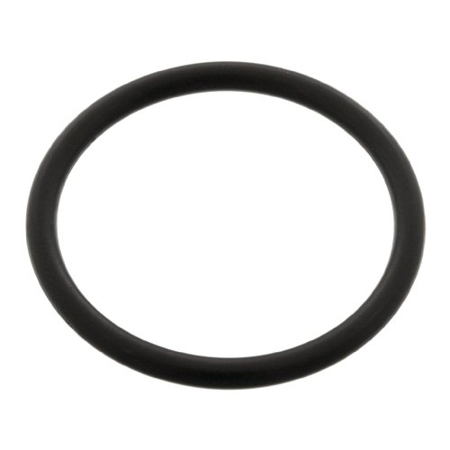 Febi Bilstein O-Ring 04955