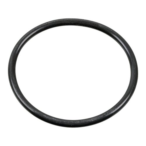 Febi Bilstein Sealing Ring 100165