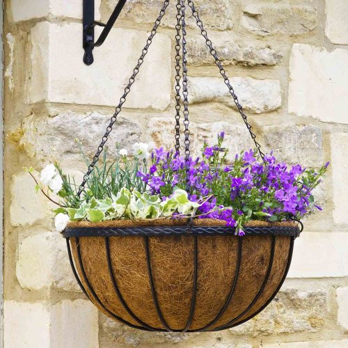 Smart Garden Saxon Hanging Basket 12?