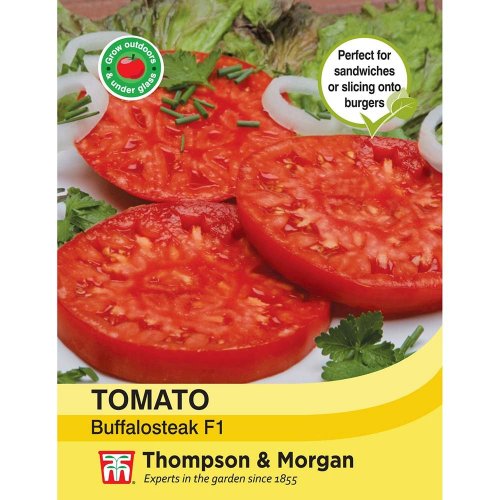 Thompson & Morgan Tomato Buffalosteak F1 Hybrid