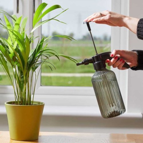 Smart Garden Pressure Mister - 1.2L