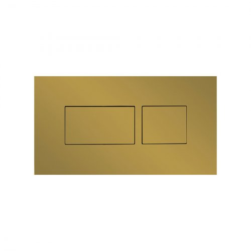 Britton Bathrooms Hoxton Brushed Brass Dual Flush Plate