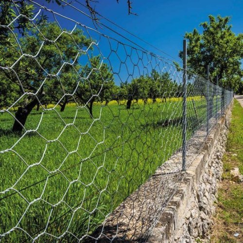 Smart Garden Galvanised Hexagonal Wire Netting 50mm 1 x 10M