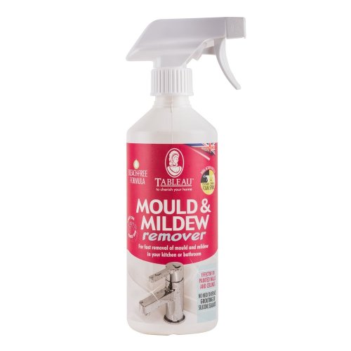 Tableau Mould and Mildew Remover -500ml