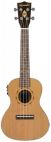 Chord 175.314UK Salamander 24" Concert Ukulele Electro-Acoustic with Rosewood