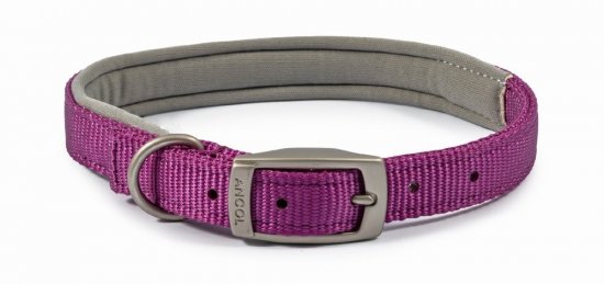 Ancol Padded Purple Dog Collar - Size 7