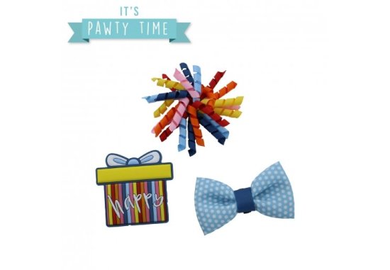 Ancol Pawty Stripe Present Accessory Set