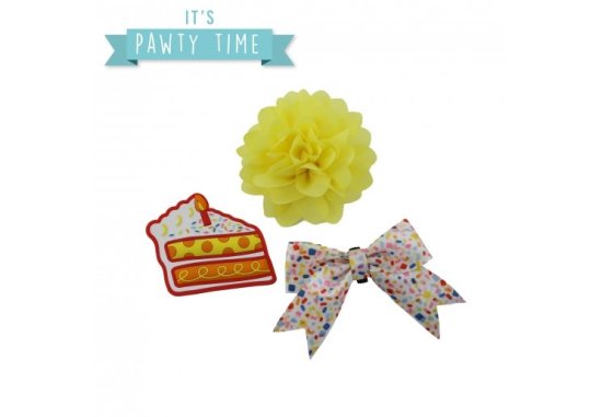 Ancol Pawty Sprinkle Cake Accessory Set