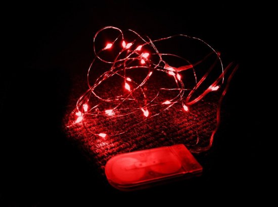 Jingles 20 Red LED Flower Lights - Static