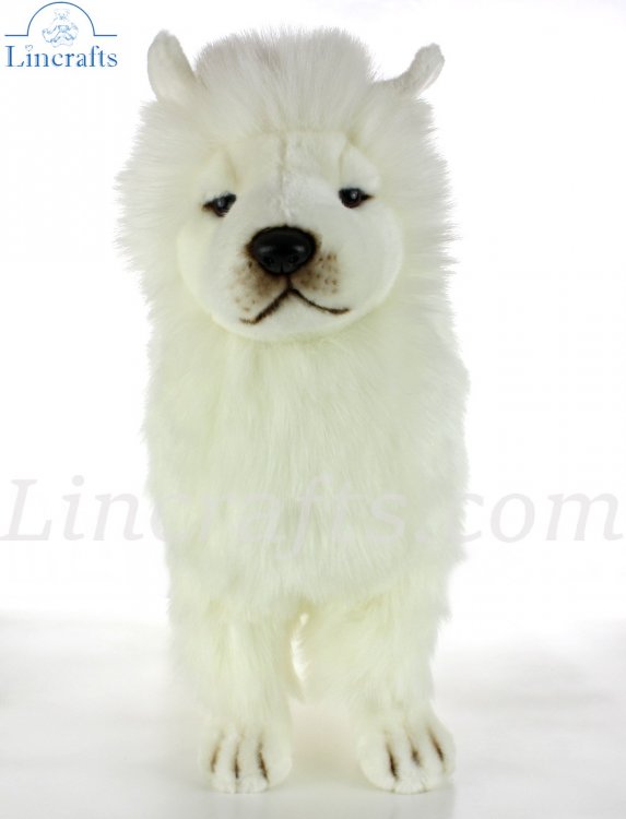 samoyed soft toy