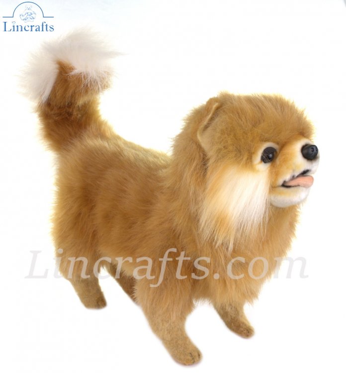 pomeranian soft toy