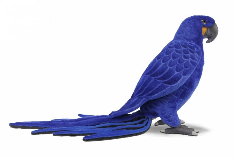 Blue store macaw toy