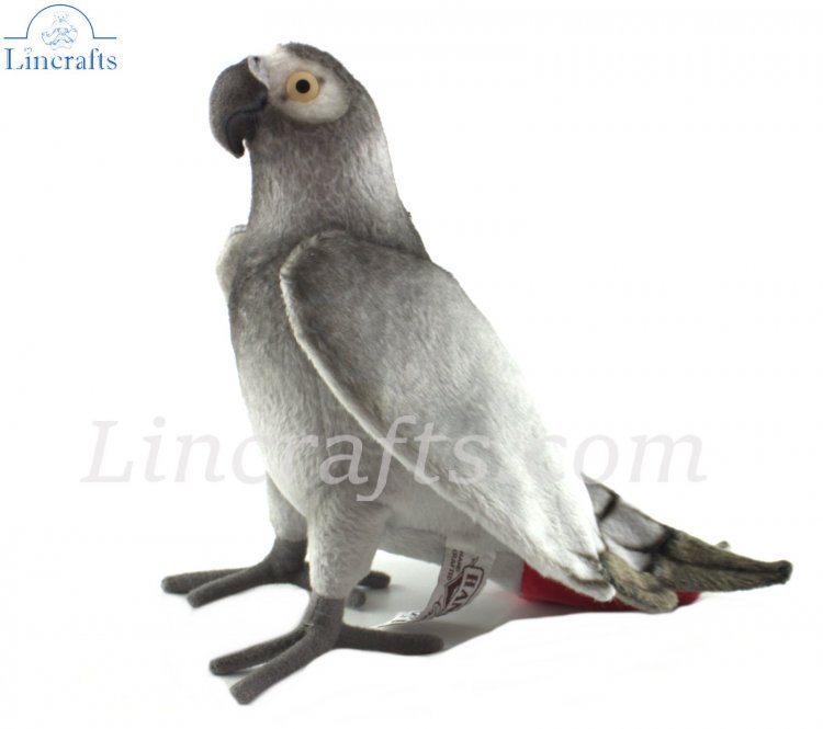 African grey parrot plush sale