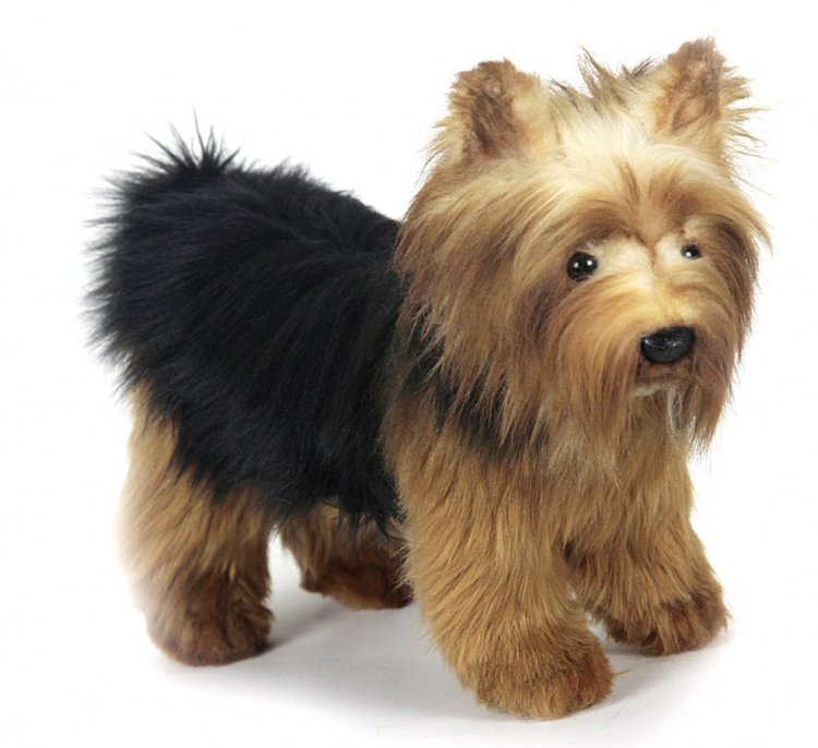 Soft Toy Dog Yorkshire Terrier by Hansa 28cm 5900