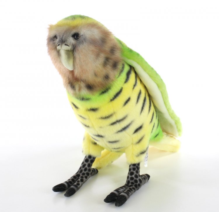 Kakapo hotsell plush toy