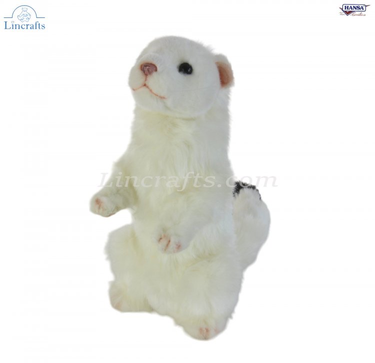 Hansa ferret shop