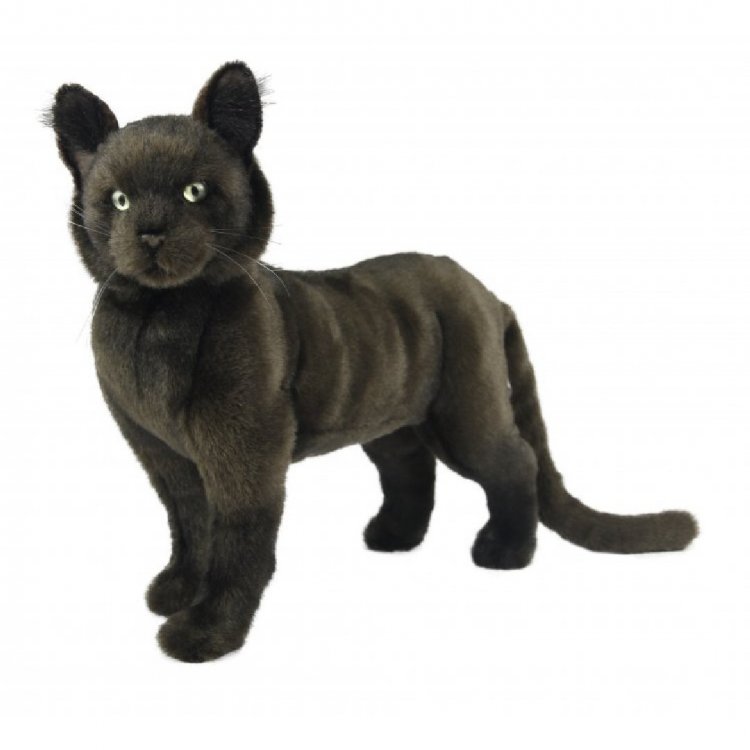 Black cat cuddly sale toy