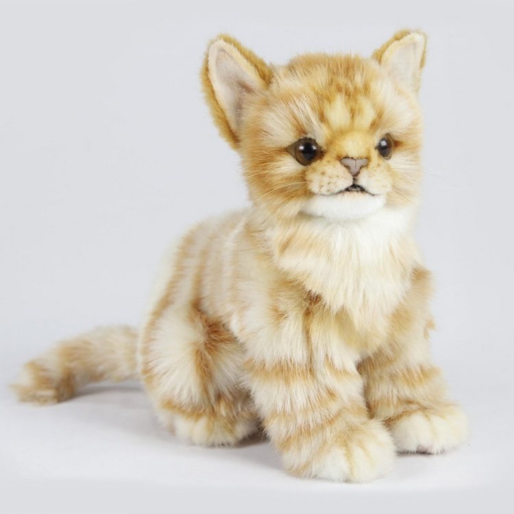 Ginger moggy best sale