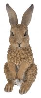 Young Hare Standing - Lifelike Garden Ornament - Indoor or Outdoor - Real Life